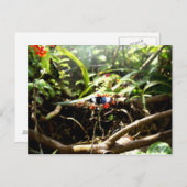 Blauwe en zwarte vlinder briefkaart (Voorkant / Achterkant)