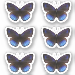 Blauwe en Zwarte Vlinder Sticker pack Bruiloft