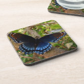 Blauwe en zwarte zweetstaart in de tuin van Ohio Bier Onderzetter (Linkerzijde)