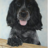 blauwe engelse kruidenhond erg schattige hond legpuzzel