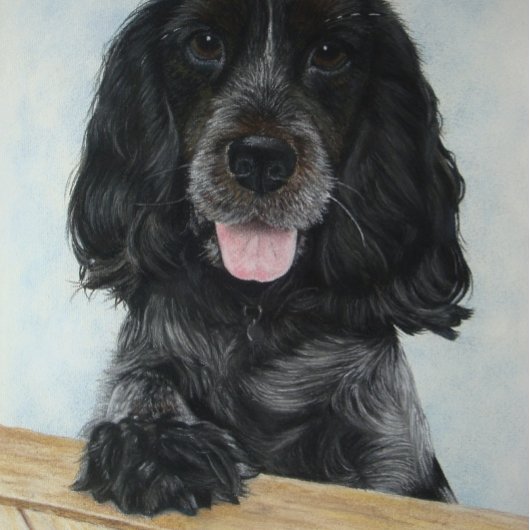 blauwe engelse kruidenhond erg schattige hond legpuzzel