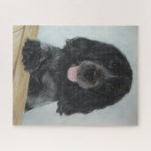 blauwe engelse kruidenhond erg schattige hond legpuzzel (Horizontaal)