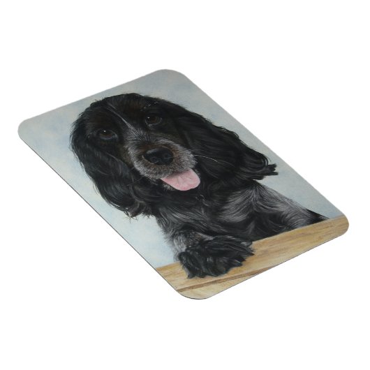 blauwe engelse kruidenhond erg schattige hond magneet (Rechterzijde)