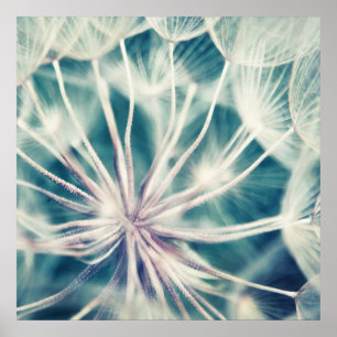 Blauwe Etherische Macro Dandalion Poster