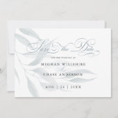 Blauwe eucalyptusbladeren van de mosterd, wit (Voorkant)