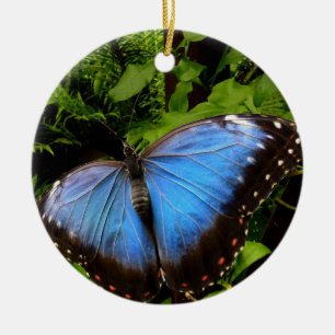 blauwe exotische vlinder keramisch ornament