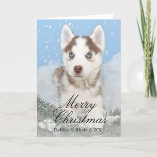 Blauwe eyed schor puppyzitting in sneeuw feestdagen kaart
