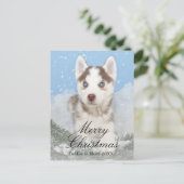 Blauwe eyed schor puppyzitting in sneeuw feestdagenkaart (Staand voorkant)