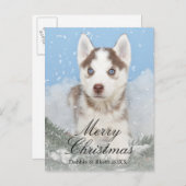 Blauwe eyed schor puppyzitting in sneeuw feestdagenkaart (Voorkant / Achterkant)