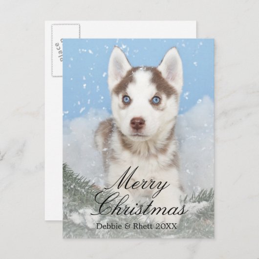 Blauwe eyed schor puppyzitting in sneeuw feestdagenkaart (Voorkant / Achterkant)