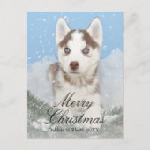 Blauwe eyed schor puppyzitting in sneeuw feestdagenkaart (Voorkant)