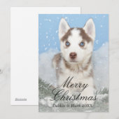 Blauwe eyed schor puppyzitting in sneeuw feestdagenkaart (Voorkant / Achterkant)