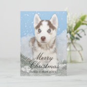 Blauwe eyed schor puppyzitting in sneeuw feestdagenkaart (Staand voorkant)