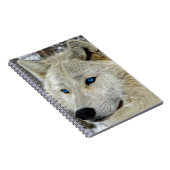 Blauwe eyed White Wolf-laptop Notitieboek (Rechterzijde)