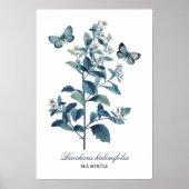   blauwe flessenplaat poster (Voorkant)