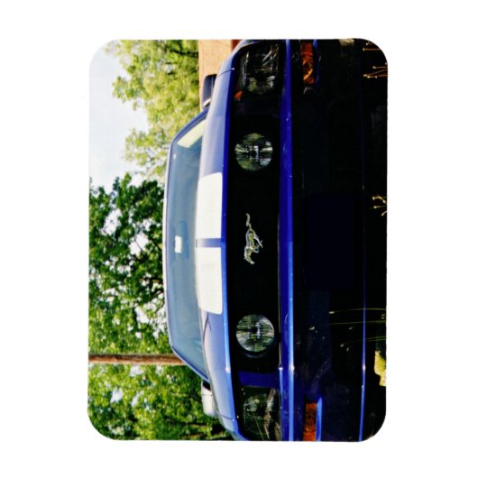 Blauwe Flexibele magneet (Verticaal)