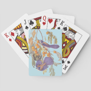 Blauwe Floridascrubjays Audubon Vogels met Sinaasa Pokerkaarten