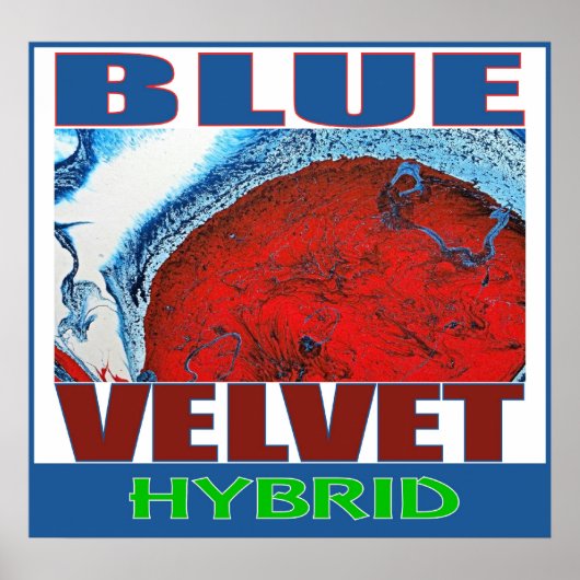 BLAUWE FLUWEEL HYBRIDE POSTER (Voorkant)