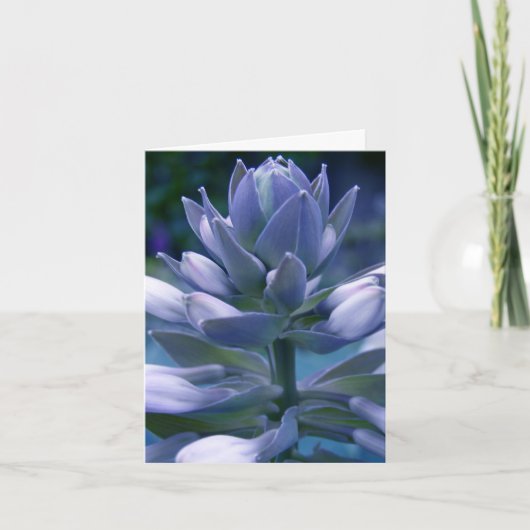 Blauwe "fotografische" dagelijkse kaart Hosta (Voorkant)