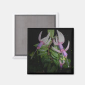 Blauwe Fushia Magnet (Voorkant / Achterkant)