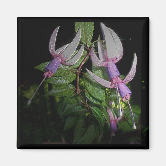 Blauwe Fushia Magnet (Voorkant)