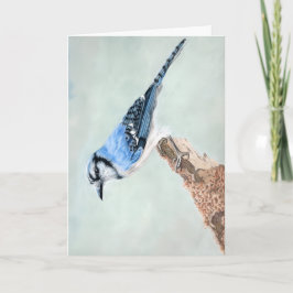 Blauwe Gaai Blank Kaart