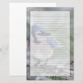 Blauwe Gaai, Cyanocitta cristata Briefpapier (Voorkant / Achterkant)