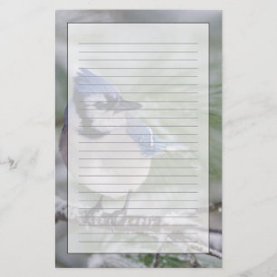 Blauwe Gaai, Cyanocitta cristata Briefpapier