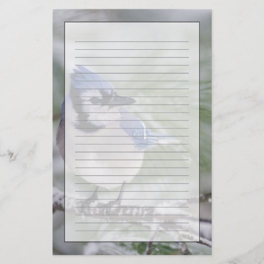 Blauwe Gaai, Cyanocitta cristata Briefpapier (Voorkant)
