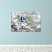 Blauwe gaai, Cyanocitta cristata Canvas Afdruk (Insitu (Houten vloer))