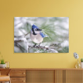 Blauwe gaai, Cyanocitta cristata Canvas Afdruk (Insitu (Woonkamer))