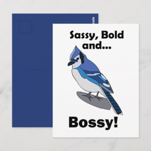 Blauwe Gaai Freche Dappere Bazige Vogel Verjaardag Briefkaart