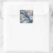 Blauwe Gaai Geperst Op een Besneeuwde Grove Vierkante Sticker (Tas)