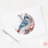 Blauwe Gaai in Gewone Winterbes Ronde Sticker (Envelop)