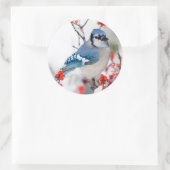 Blauwe Gaai in Gewone Winterbes Ronde Sticker (Tas)