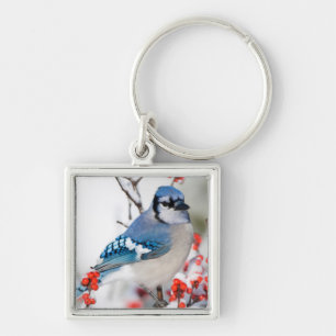 Blauwe Gaai in Gewone Winterbes Sleutelhanger