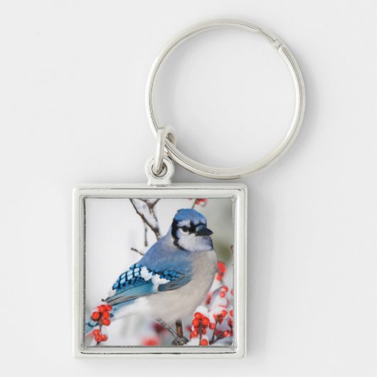 Blauwe Gaai in Gewone Winterbes Sleutelhanger (Voorkant)