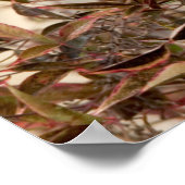 Blauwe Gaai in Nandina Hemelse Bamboe Poster (Hoek)