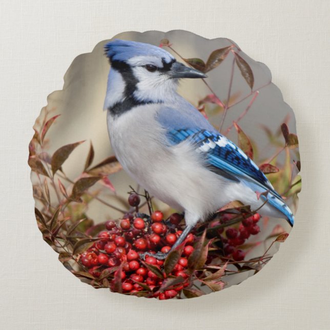Blauwe Gaai in Nandina Hemelse Bamboe Rond Kussen (Voorkant)