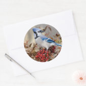 Blauwe Gaai in Nandina Hemelse Bamboe Ronde Sticker (Envelop)