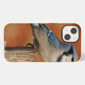 Blauwe Gaai iPhone Hoesje (Achterkant horizontaal)