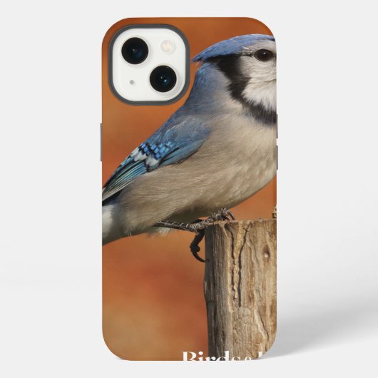 Blauwe Gaai iPhone Hoesje (Achterkant)