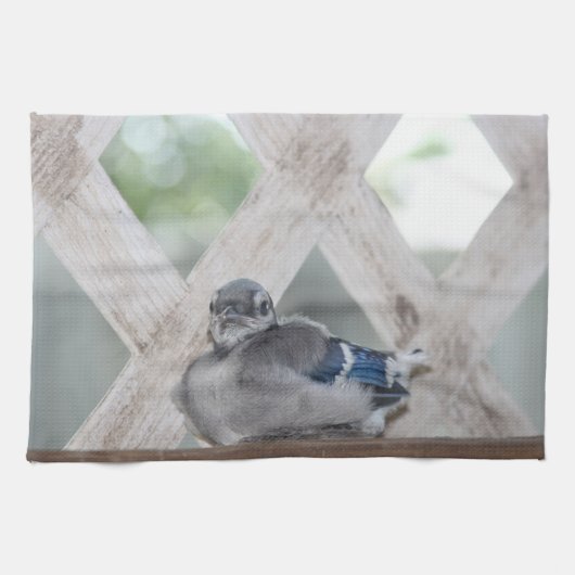 Blauwe Gaai Keukenhanddoek (Horizontaal)