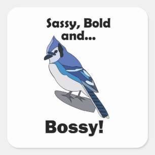 Blauwe Gaai Sassy Dappere Bazige Vogel Verjaardags Vierkante Sticker