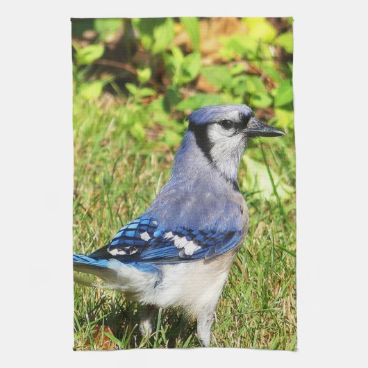 Blauwe Gaai Theedoek (Verticaal)