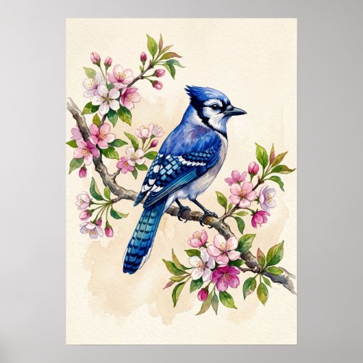 Blauwe Gaai Vogel Poster (Voorkant)