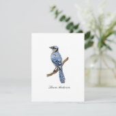 Blauwe gaai vogel vlakke kaart   (Staand voorkant)