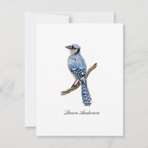 Blauwe gaai vogel vlakke kaart