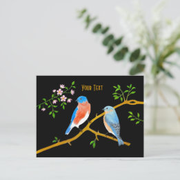 Blauwe gaaien zijn niet de enige vogels met een he briefkaart
