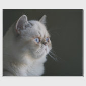 BLAUWE GAZE CADEAUPAPIER (Vlak)